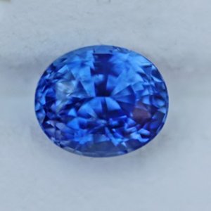 40673.jpg