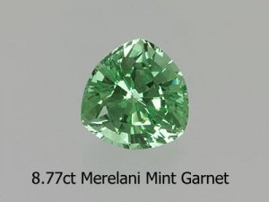 amysmint.jpg