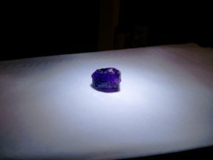 2013-03-19_22.jpg