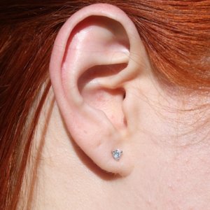 earshot1.jpg