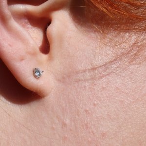 earshot2.jpg