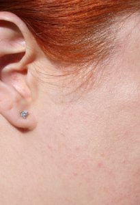 earshot4.jpg