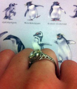 hand_shot_profile.jpg