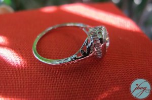 img_5909-l.jpg