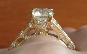 prong_closeup.jpg prong_closeup.jpg
