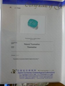 certificate_page_1.jpg