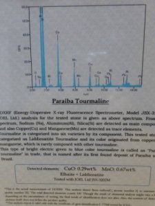 certificate_page_3_closeup.jpg