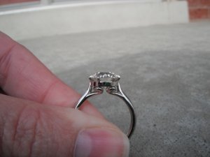 dscf8509.jpg