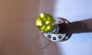 cmsgoldenzircon10.jpg