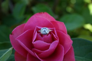 img_6490.jpg