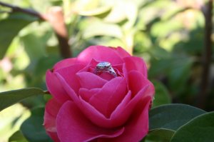 img_6495.jpg