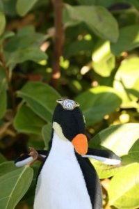 img_6519.jpg