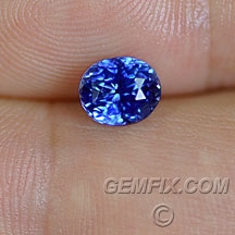 sapphire_blue_1092_a.jpg