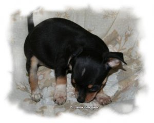 img_1862.jpg