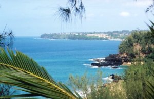 kauaiblue.jpg