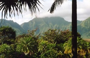 kauaiwaterfall.jpg