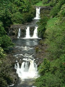 hawaii.2006 075.jpg