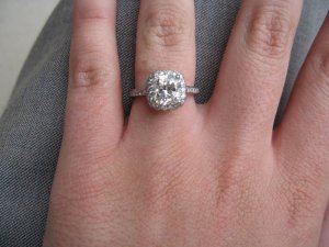 IMG_3979.JPG