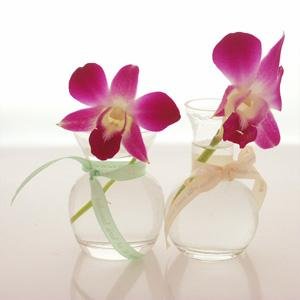 pink cymbid in small bud vase.JPG