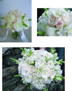 pba_flowers_collage.jpg