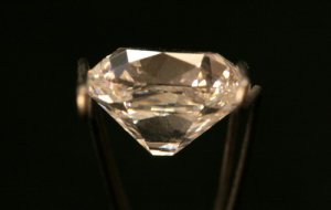cushion 1 side.jpg