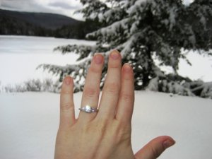 snowyring2.jpg