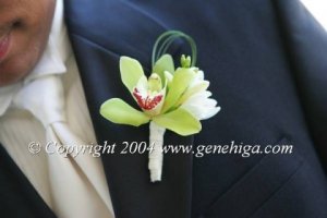 green orchid bout.jpg