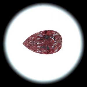 pearis.JPG