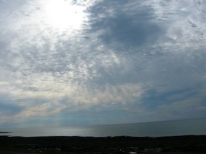 DSCN5105sm.jpg