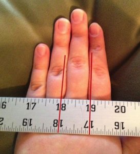 hand_proportions1.jpg hand_proportions1.jpg
