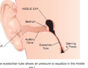 screen_shot_2013-04-25_at_4.png