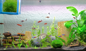 screen_shot_2013-05-05_at_6.png