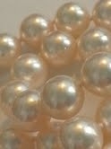 hanadama_close-up.jpg hanadama_close-up.jpg
