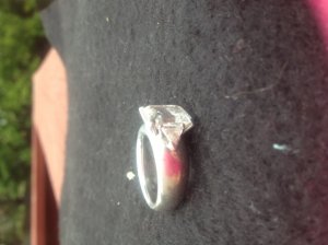 img_2667_1_.jpg