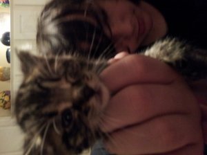 tabby_eye_infection.jpg tabby_eye_infection.jpg