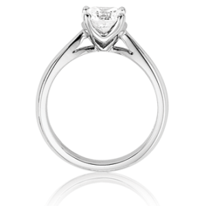 side_view_of_ring.png