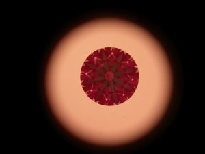 3618229_ideal_scope_image.jpg 3618229_ideal_scope_image.jpg