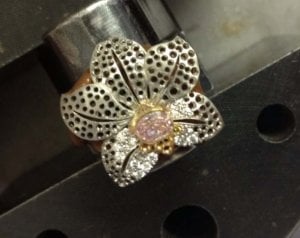 orchid_in_progress_1.jpg