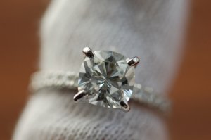 dsc_0281.jpg
