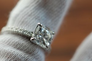 dsc_0290.jpg