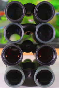 objective_view.png