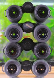 eyepiece_view.png