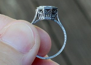 dsc_3766.jpg