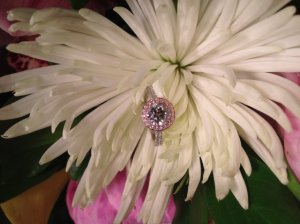 img_2010.jpg