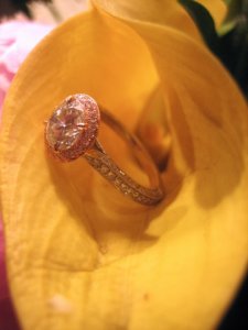img_4088.jpg
