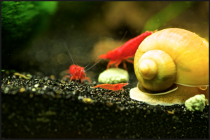 screen_shot_2013-05-28_at_11.png