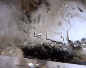 2009090516284544_1_.jpg