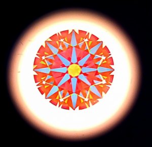 _6904.jpg