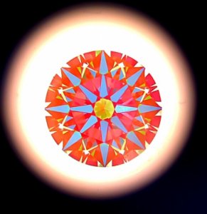 _6905.jpg