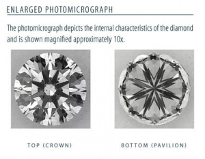 enlarged_photomicrograph.png